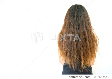 Back view of woman with her damaged split ended hair. Hair damage is risk for further damage and breakage. It may also look dull or frizzy and be difficult to manage. Back view of woman with her damaged split ended hair. Hair damage is risk for further damage and breakage. It may also look dull or frizzy and be difficult to manage. 81479849