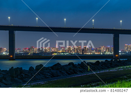 【東京城市夜景】東京門大橋（若洲公園）周邊夜景 81480247