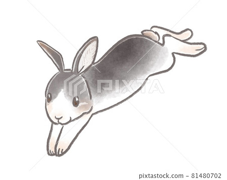 Bouncing rabbit - Stock Illustration [81480702] - PIXTA