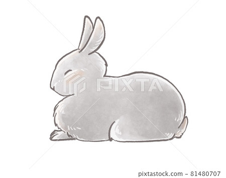 睡兔 睡兔 81480707