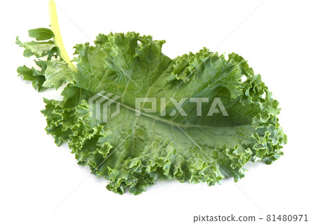Kale 81480971