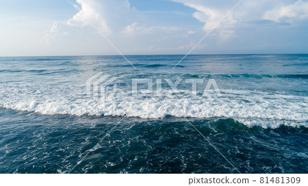 Aerial view of beautiful sea wave surface 81481309