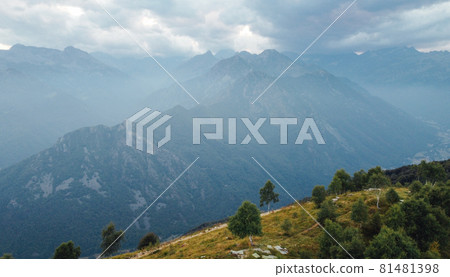 Aerial view of mountain peaks in the Alps. 81481398