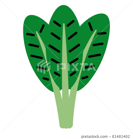 簡單的日本芥末菠菜（多葉蔬菜） 81481402