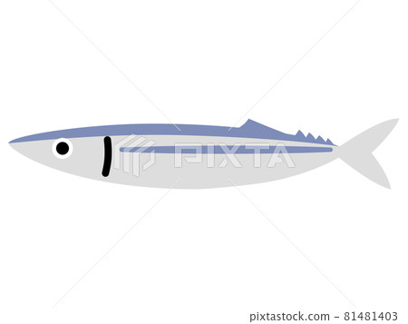 簡單的秋刀魚（魚） 81481403