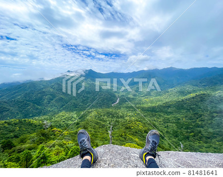 Yakushima_Shiratani Unsuikyo_Taikoiwa and superb view_Subjective viewpoint 81481641
