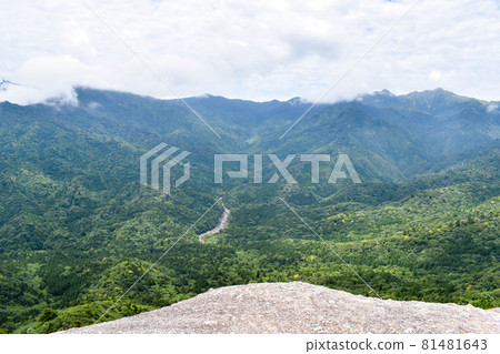 屋久島_白谷雲水峽_太古岩與自然 81481643