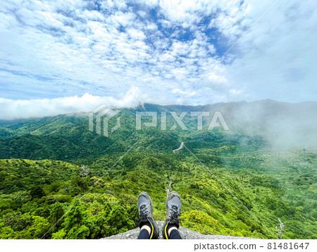 屋久島_白谷雲水峽_太湖岩和絕景_主觀觀點 81481647