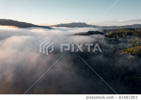 morning fog in the mountains rainy season morning fog in the mountains rainy season 81481903