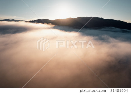morning fog in the mountains rainy season morning fog in the mountains rainy season 81481904