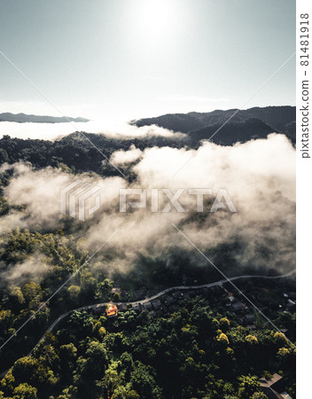 morning fog in the mountains rainy season morning fog in the mountains rainy season 81481918