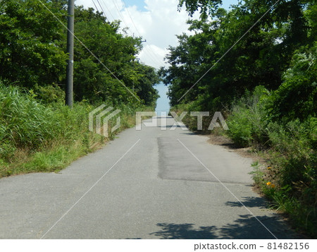 Uchinada Town, Summer Path Uchinada Town, Summer Path 81482156