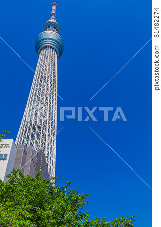 [Tokyo cityscape] Tokyo Sky Tree and cityscape (around Solamachi) 81482274