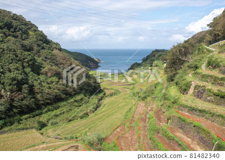 Hamanoura Tanada in Autumn Hamanoura Tanada in Autumn 81482340