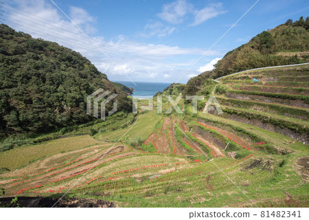 Hamanoura Tanada in Autumn Hamanoura Tanada in Autumn 81482341