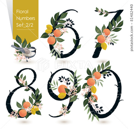 Vector illustration of floral numbers collection. A set of flowers, fruits and numbers for wedding, invitations and birthday cards Vector illustration of floral numbers collection. A set of flowers, fruits and numbers for wedding, invitations and birthday cards 81482440