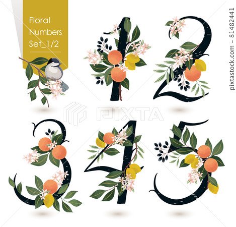 Vector illustration of floral numbers collection. A set of flowers, fruits and numbers for wedding, invitations and birthday cards 81482441