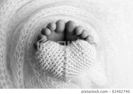 The feet of a newborn baby are wrapped in a knitted blanket. The fingers of a newborn baby are holding a white knitted heart. Black and white photo. 81482740
