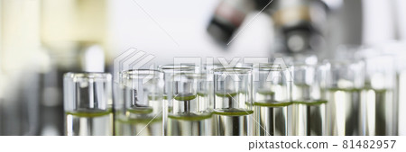 Many glass test tubes with yellow liquid standing in laboratory closeup 81482957