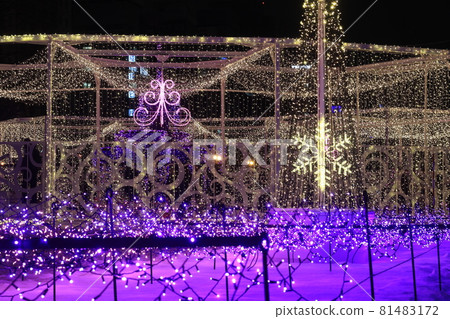 [Hokkaido] Sapporo White Illumination (Sapporo City) 81483172