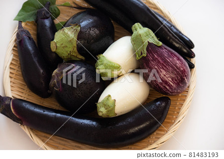 各種茄子(俯視圖) 各種茄子(俯視圖) 81483193
