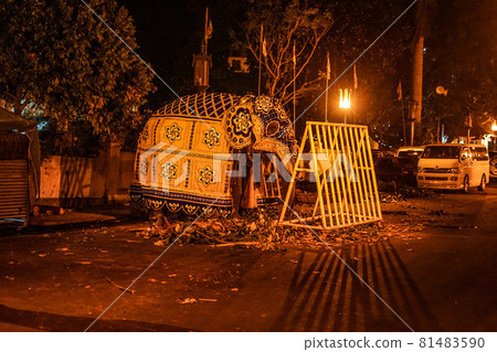 Image of Sri Lankan elephant (Sri Lankan candy) 81483590