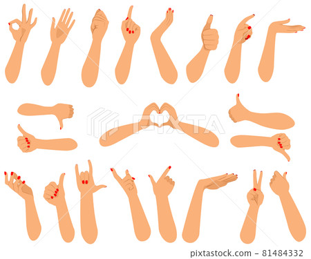 Set of forearm hands of female human in different action gestures Set of forearm hands of female human in different action gestures 81484332