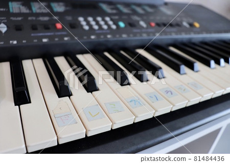 電子鍵盤 81484436