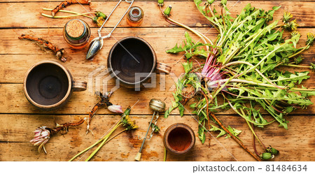 Dandelion or taraxacum in natural herbal medicine,wooden table Dandelion or taraxacum in natural herbal medicine,wooden table 81484634