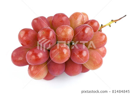 葡萄 (Sanee Leche) 81484845