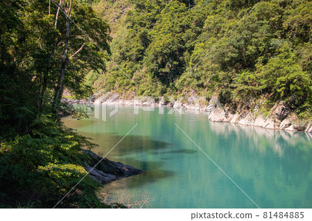 內洞國家森林遊樂區 81484885