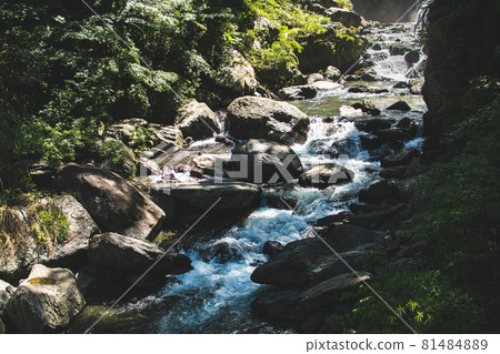 內洞國家森林遊樂區 81484889