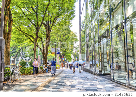Tokyo Shibuya cityscape Omotesando Tokyo Shibuya cityscape Omotesando 81485635