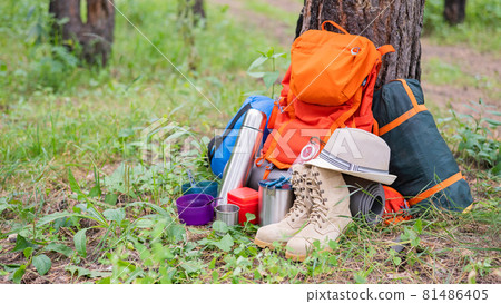 Hiking equipment in a pine forest. Backpack, thermos, sleeping bag, compass, hat and shoes 81486405