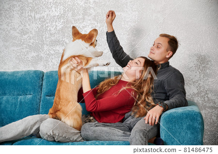 Cheerful young woman and man sitting on couch and playing with cute Corgi dog. Happy joyful couple resting on sofa and having fun with adorable dog while spending time together at home. Cheerful young woman and man sitting on couch and playing with cute Corgi dog. Happy joyful couple resting on sofa and having fun with adorable dog while spending time together at home. 81486475