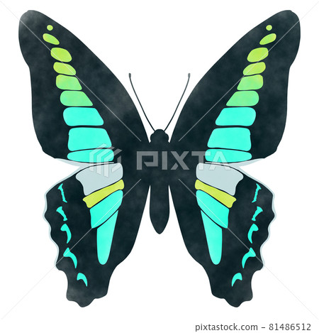 水彩風格的藍瓶圖 81486512