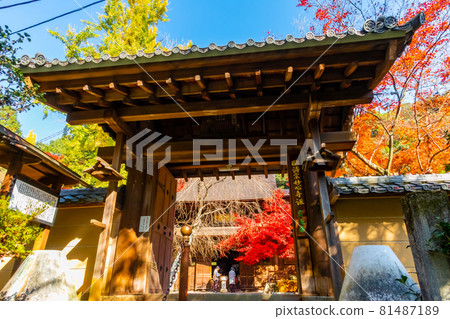 秋天的定光寺 <愛知縣瀨戶市> 秋天的定光寺 <愛知縣瀨戶市> 81487189