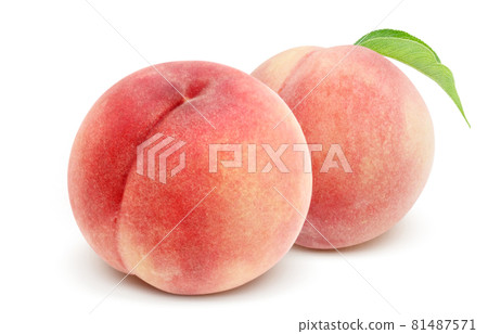 Peach peach illustration real set 81487571