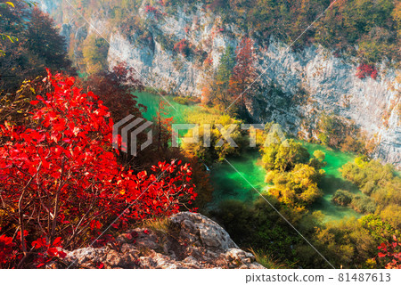Aerial view on amazing Plitvice lakes in autumn season 81487613