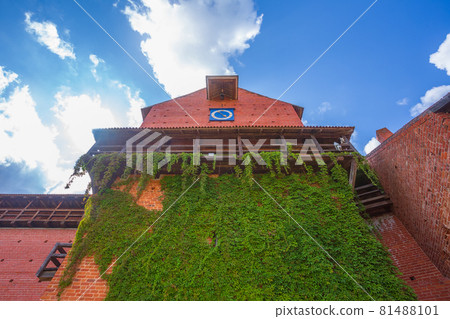 Old Turaida castle with tower in a sunny day. Summer landscape. Gauja national park, Sigulda, Latvia Old Turaida castle with tower in a sunny day. Summer landscape. Gauja national park, Sigulda, Latvia 81488101