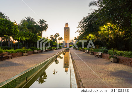 Minaret of Koutoubia Mosque at sunrise in Marrakech, Morocco. 81488388