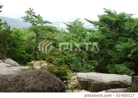 National park. Bukhansan. Trail. Leaves. Path National park. Bukhansan. Trail. Leaves. Path 81488527