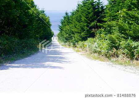 Soya Hills "Two bikes running on a white road" Wakkanai City, Hokkaido Soya Hills "Two bikes running on a white road" Wakkanai City, Hokkaido 81488876