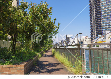 領養千代崎河散步道[大阪府西區] 81489104