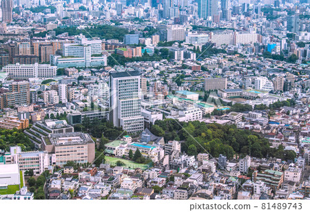 View of Tokyo cityscape in Japan, such as the cityscape of Hiroo, Shibuya-ku 81489743