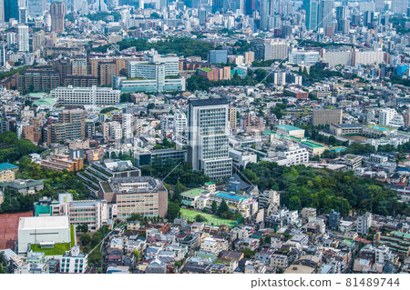 日本東京城市景觀，如澀谷區廣尾的城市景觀 81489744