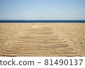 Wooden plank path on sand on the beach on a lonely sunny day 81490137