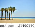 palm trees on a sandy beach over blue sky and calm sea 81490140