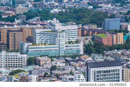 View of Tokyo cityscape in Japan, such as the cityscape of Hiroo, Shibuya-ku (Japanese Red Cross Medical Center) 81490801