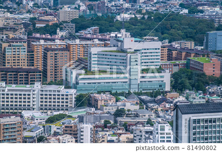 View of Tokyo cityscape in Japan, such as the cityscape of Hiroo, Shibuya-ku (Japanese Red Cross Medical Center) View of Tokyo cityscape in Japan, such as the cityscape of Hiroo, Shibuya-ku (Japanese Red Cross Medical Center) 81490802
